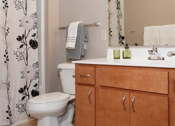 Spacious Master Bathroom with Tub Shower and Large Sink Vanity in Carver MN