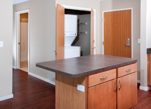 In-Unit Waster and Dryer in Apartment in Carver Minnesota