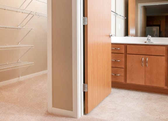 Bathroom and Walking-in Closet Connected to Master Bedroom at Carver Crossing Apartment