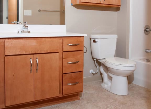 Large Mirror Above Spacious Sink Vanity in Bathroom of Apartment in Carver, Minnesota