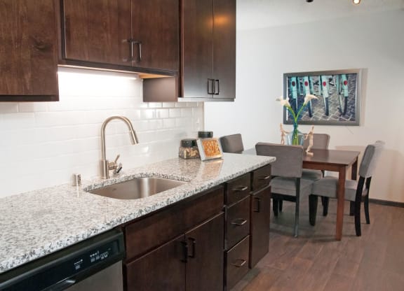 Sink with Integrated Sprayer at Eden Glen, Eden Prairie, MN