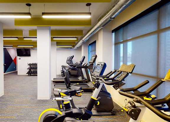 A gym with a row of exercise bikes.