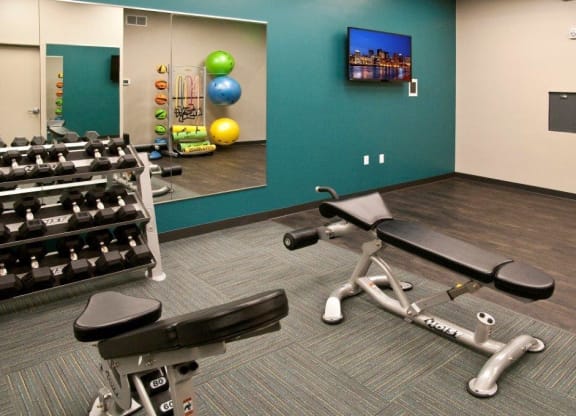 Free Weights at Shoreview Grand, Shoreview, 55126