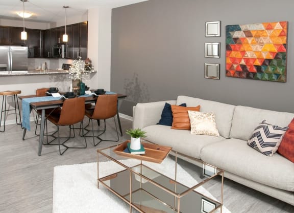 Living Room at The Axis, Minnesota