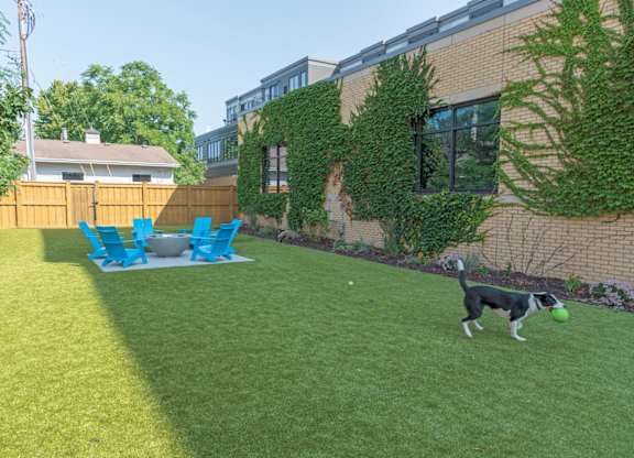 A dog is playing with a ball in a yard.