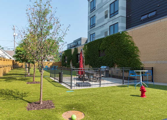 A tree in a yard with a red swing set.