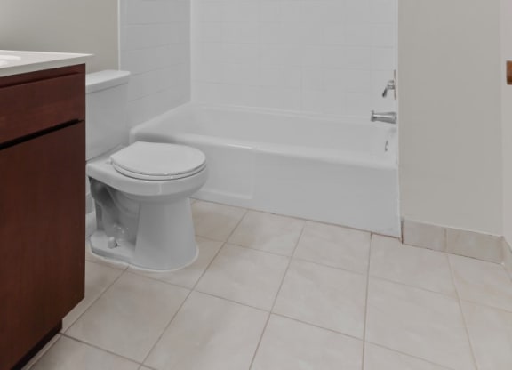 a bathroom with a toilet and a bathtub