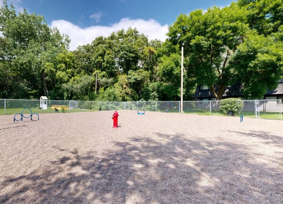 a fire hydrant in the middle of a baseball field