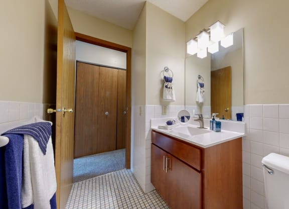 a bathroom with a sink and a toilet