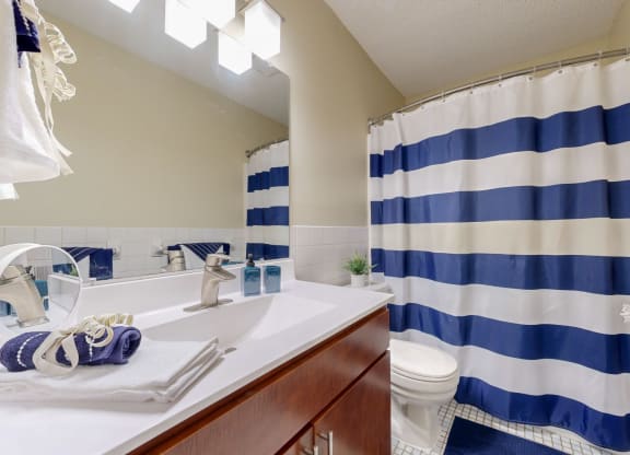 a bathroom with a blue and white shower curtain