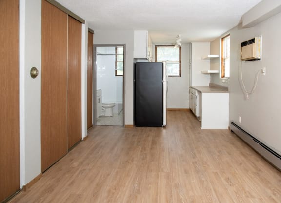 tons of closet space in studio apartment