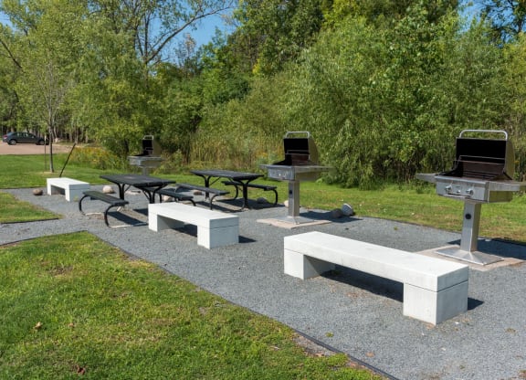 Outdoor Living Area Including Bbq'S And Fire Pits