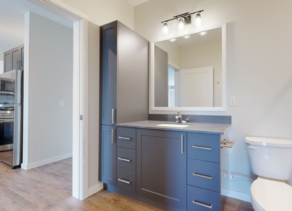 a bathroom with a toilet sink and mirror at The Exchange Apartments, New Brighton Minnesota