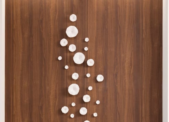 Wall Decor in Lobby Area at The Hill Apartments, Minnesota