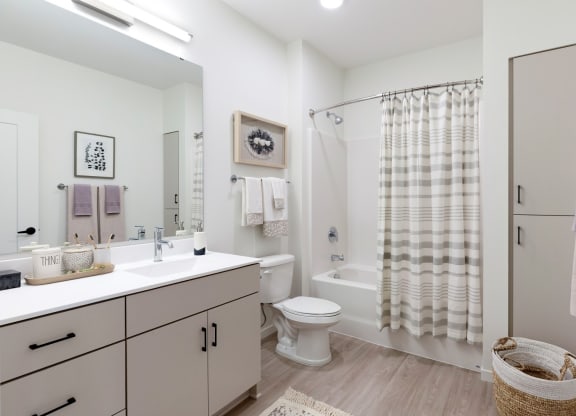 Master Bathroom With Large Vanity Area  at The Hill Apartments, Saint Paul, 55102