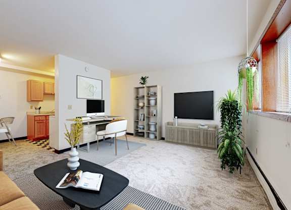 A living room with a couch, a coffee table, and a television.