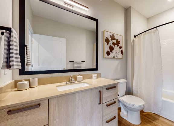 a bathroom with a mirror and a toilet and a shower