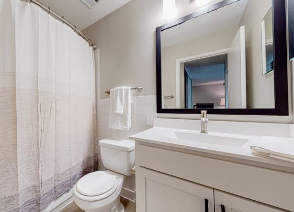 Custom Look Bathroom at The Tarnhill, Bloomington, Minnesota