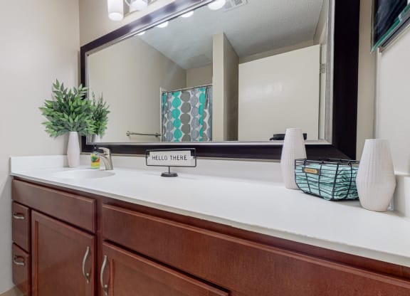 Bathroom at The Tarnhill, Bloomington, MN, 55437