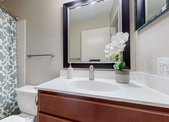 Luxurious Bathroom at The Tarnhill, Minnesota, 55437