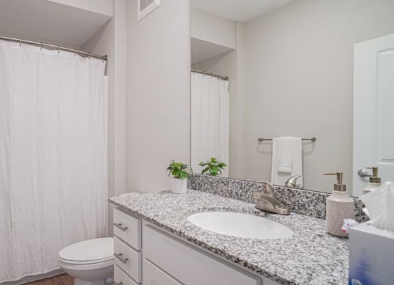 a bathroom with a sink and a toilet and a shower
