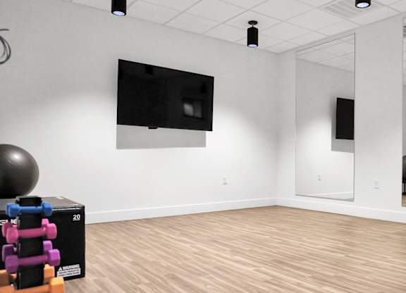 A room with a television, mirror, and exercise equipment.