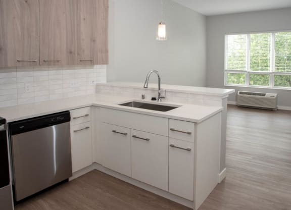 Nordic kitchen and living room view - spacious at Urban Park I and II Apartments, Minnesota