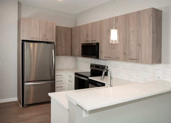 Urban Park II - Nordic Studio at Urban Park I and II Apartments, St Louis Park