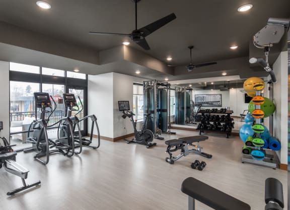 a gym with cardio equipment and weights