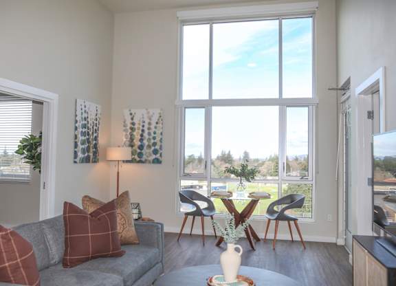 Living room with a grey couch at 888 Fourth Street Apartments, LLC, Santa Rosa, California