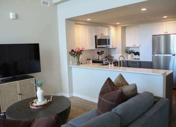 Living Room With TV at 888 Fourth Street Apartments, LLC, California