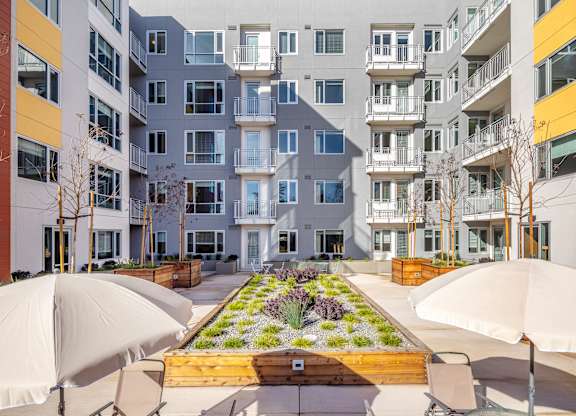 Courtyard Patio at 888 Fourth Street Apartments, LLC, California
