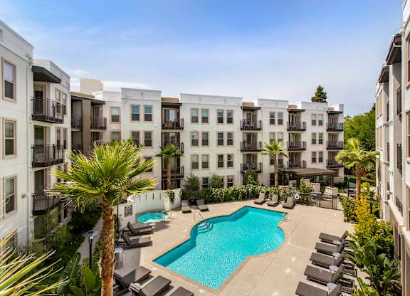 A swimming pool surrounded by lounge chairs and palm trees in a residential area. at Cirrus Redwood City Apartments, Redwood City, 94061