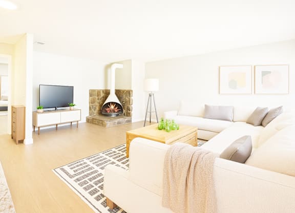 A living room with a couch, a television, a fireplace, and a rug.
