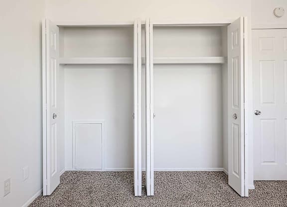 A white closet with a carpeted floor and two doors.