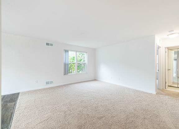 A large, empty room with a carpeted floor and a window.