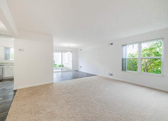 A large, empty room with a carpeted floor and a window overlooking a green outdoor area.