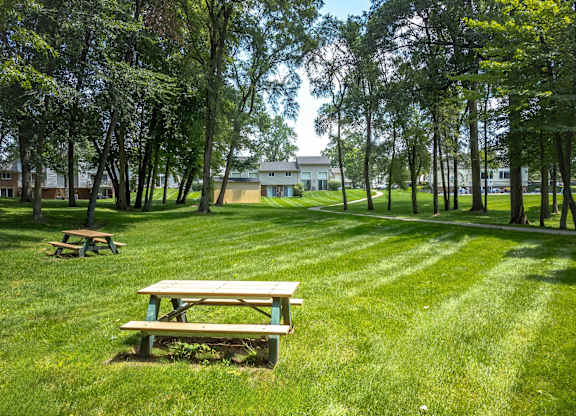A picnic table sits in a grassy field with trees in the background.