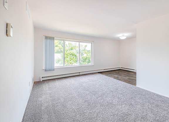 A room with a carpeted floor and a window with curtains.