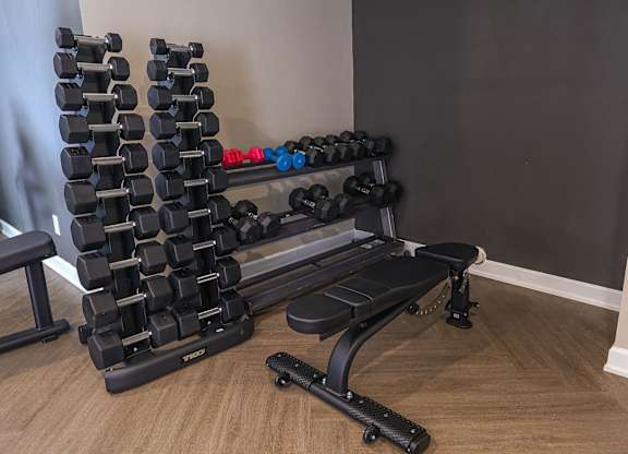 A black home gym setup with a bench, weights, and a leg press machine.