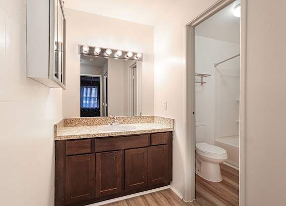 A bathroom with a sink, mirror, and toilet.