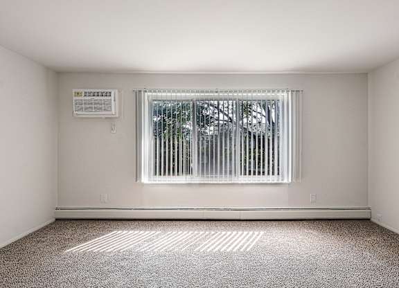 A room with a window and a carpet on the floor.