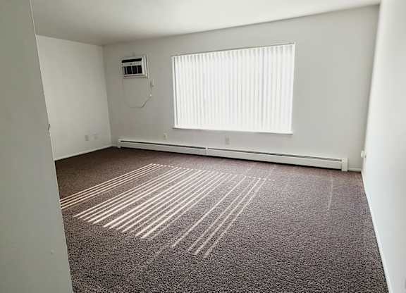 A room with a window and a carpet on the floor.