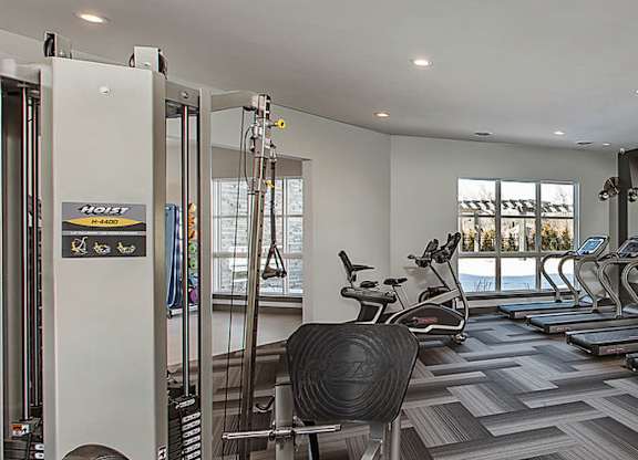 A gym with treadmills, weights and exercise machines.