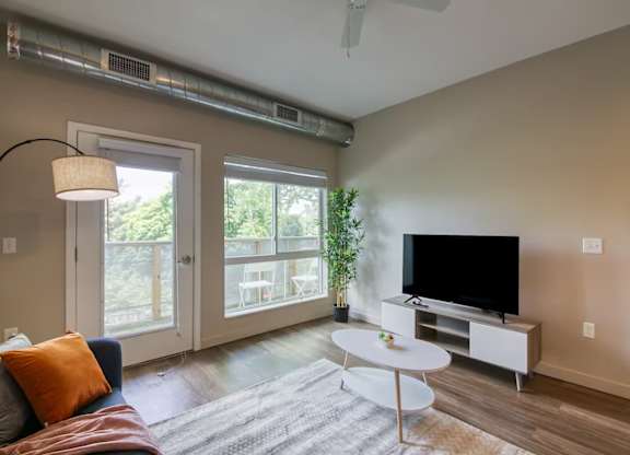 A living room with a couch, a television, and a plant.