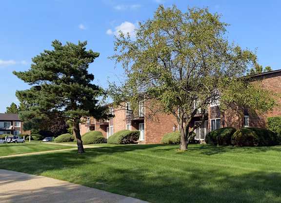 A large tree is in front of a brick building.