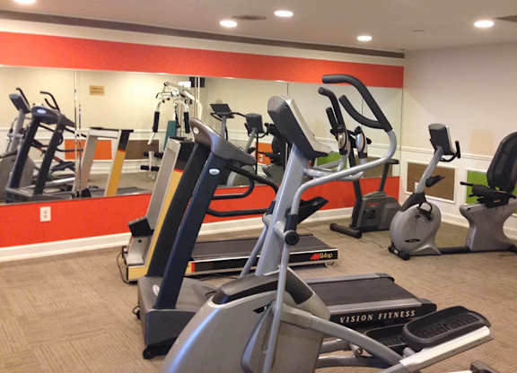 A gym with treadmills and elliptical machines.