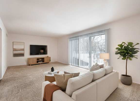 A living room with a white couch, a television, a plant, and a window with blinds.