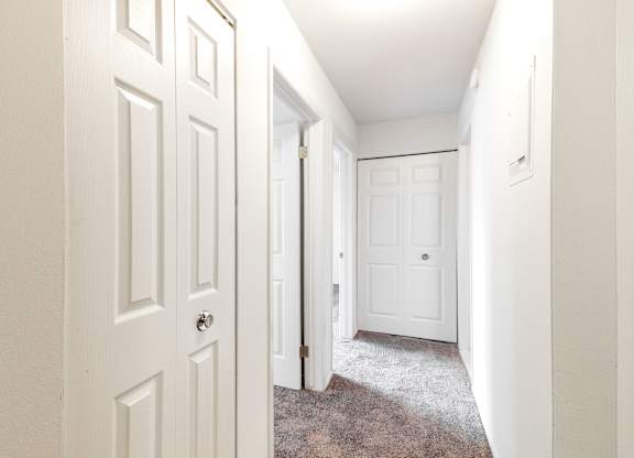 A hallway with white doors and a carpeted floor.