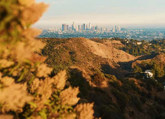A city skyline is visible through a natural landscape.